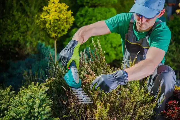 landscaping services Mastic Beach